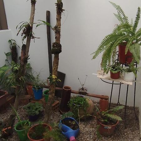 Bachig Hospedaje Moyobamba Zewnętrze zdjęcie
