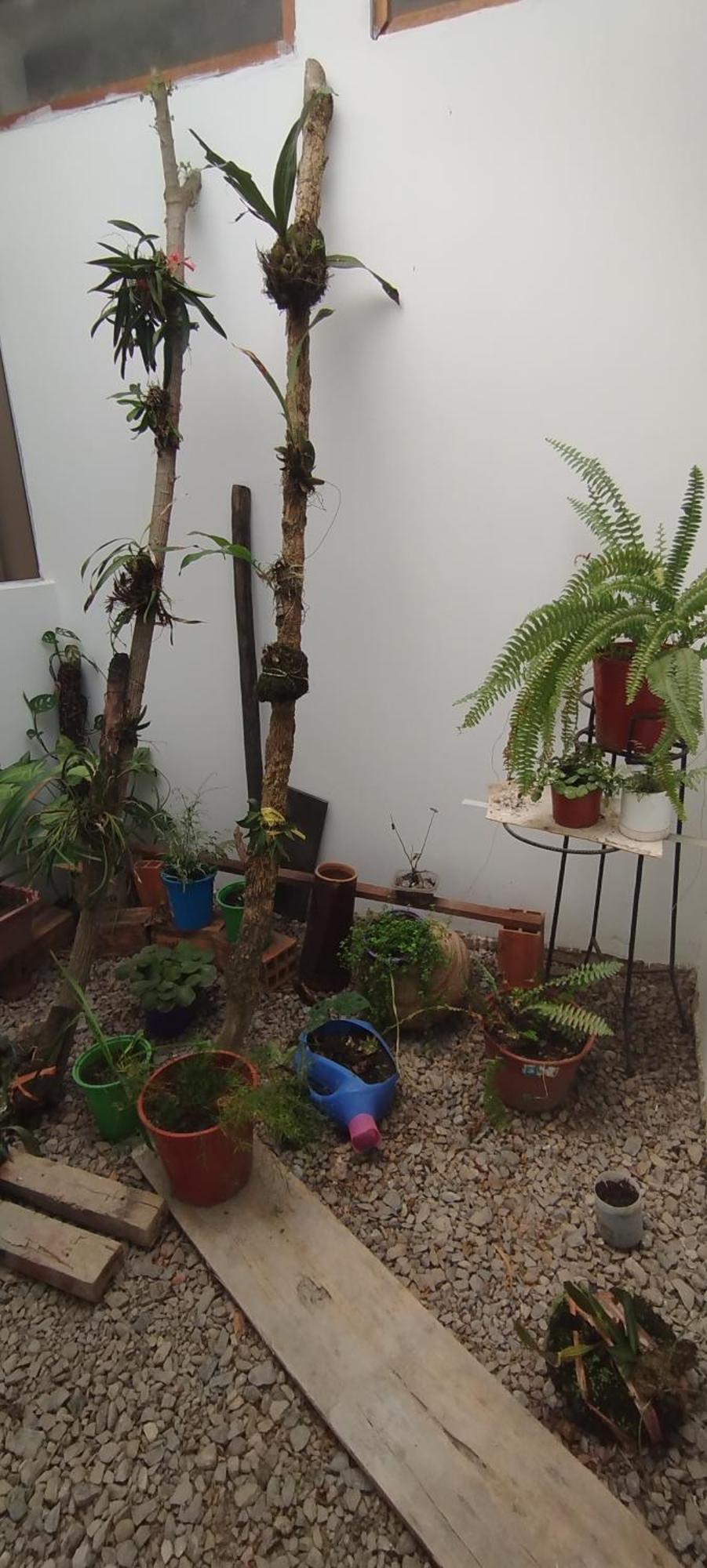 Bachig Hospedaje Moyobamba Zewnętrze zdjęcie